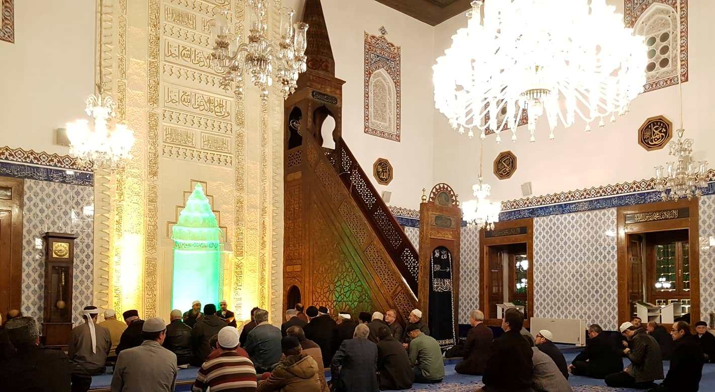 53006182 575530546297506 7824221616241377280 n