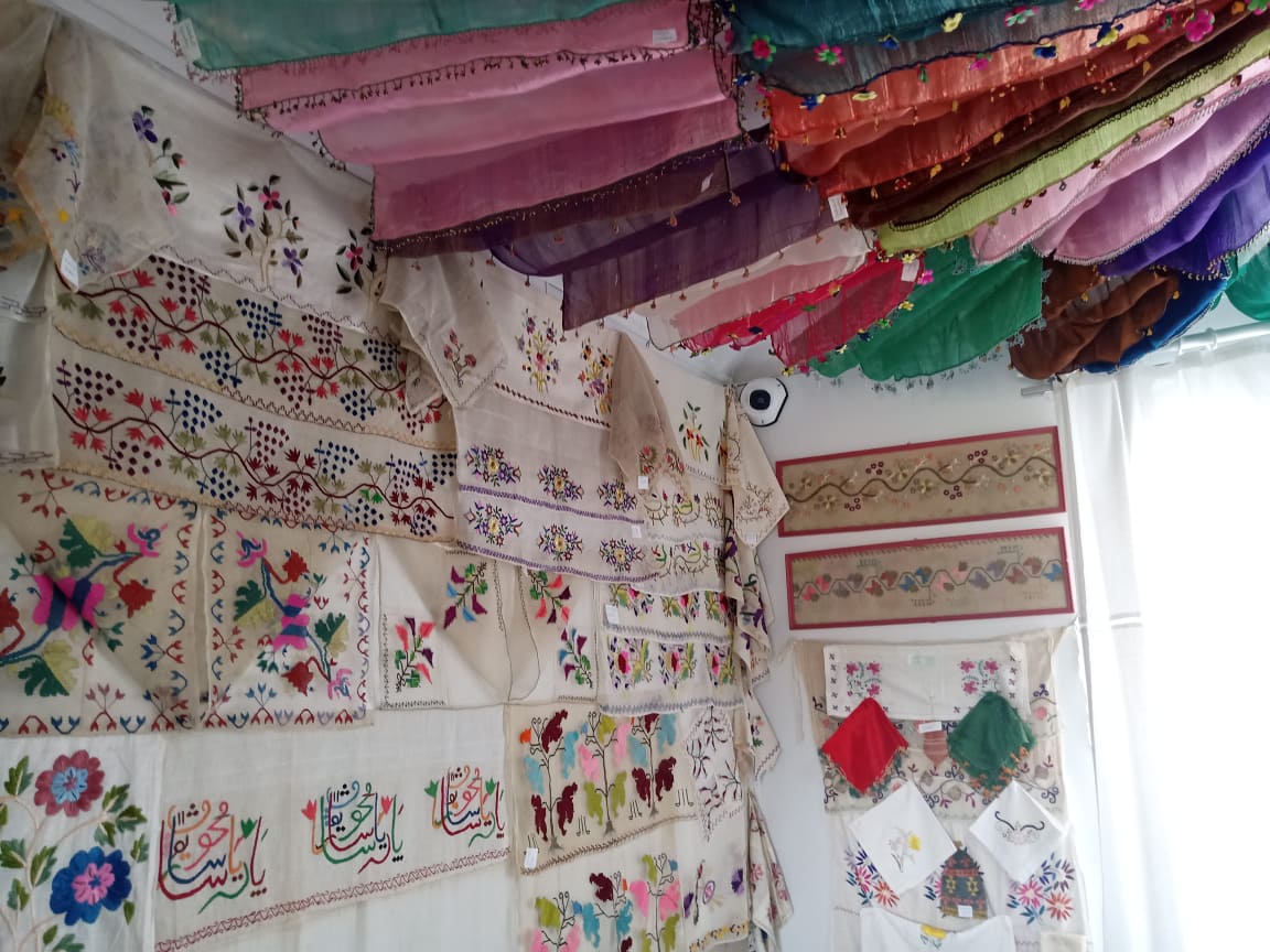 242439192 240215304701461 8639452007853789043 n