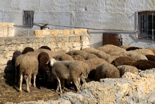 WhatsApp Image 2022 07 27 at 11.19.56